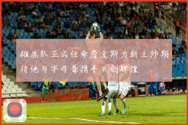 雄鹿队正式任命詹金斯为新主帅期待他与字母哥携手共创辉煌