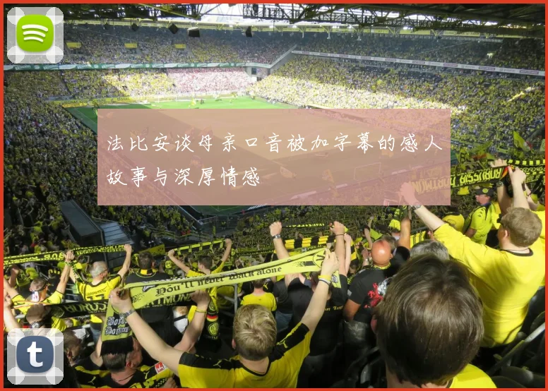 法比安谈母亲口音被加字幕的感人故事与深厚情感